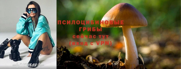 эйфоретик Суровикино