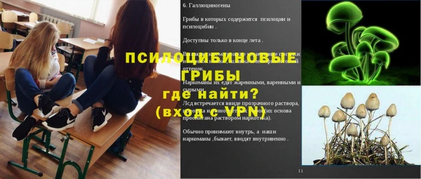 молекула духа Алексеевка