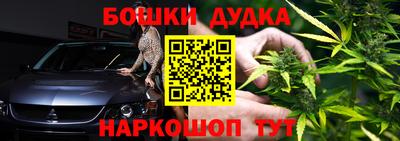крисы Краснодар