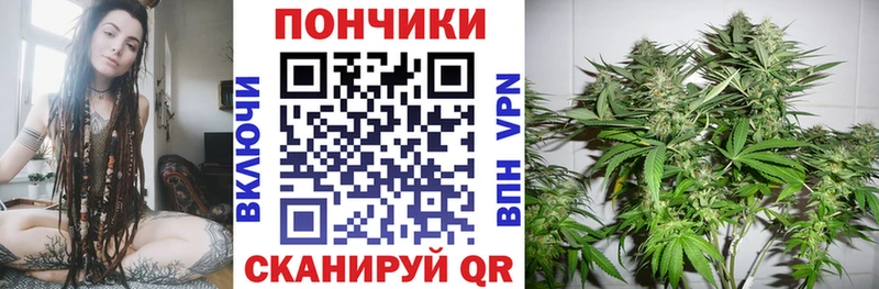 Конопля индика  Костомукша 