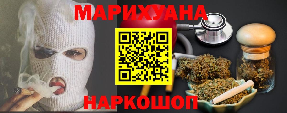Бошки Шишки планчик Костомукша